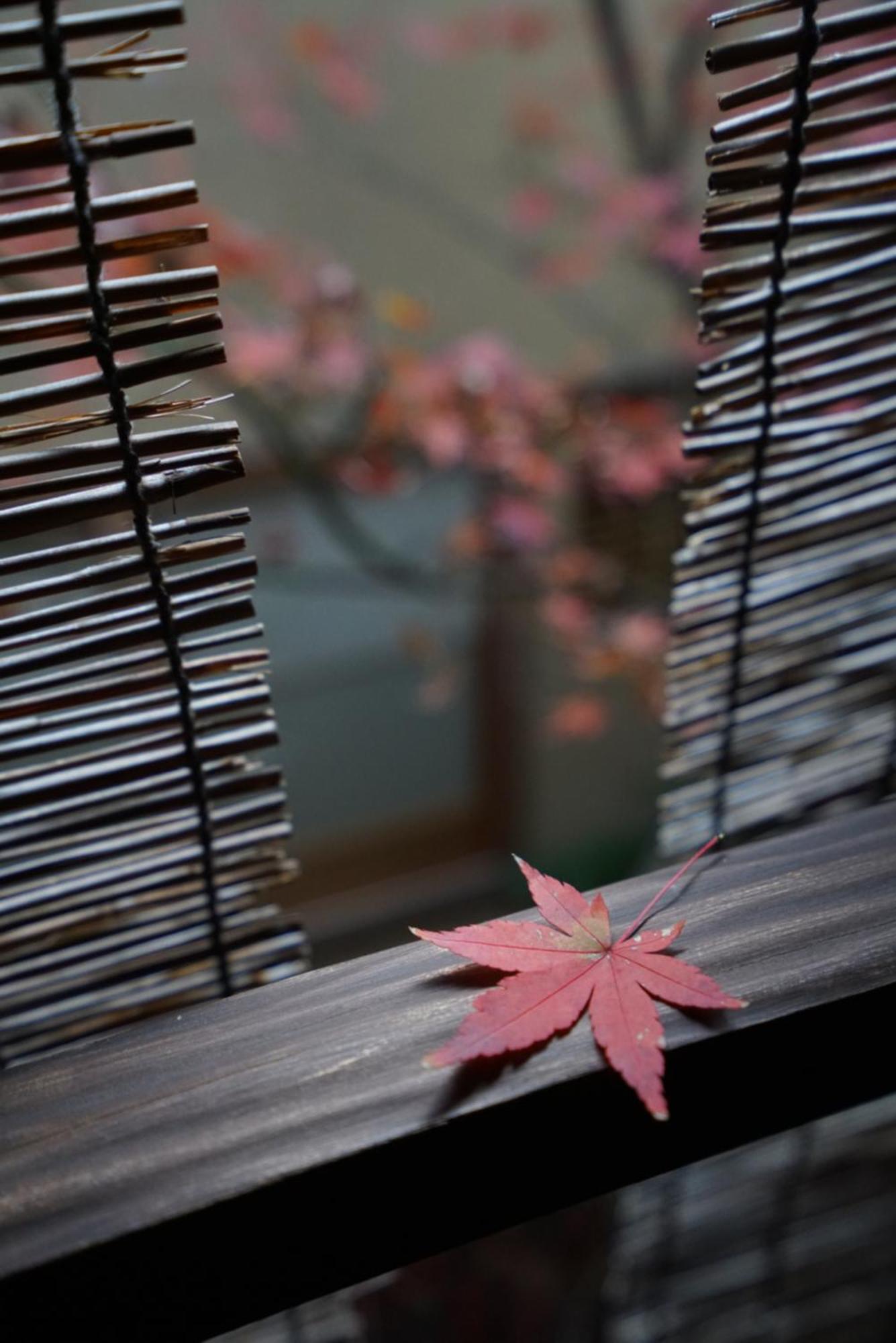 Ryokan Tori Kyoto Dış mekan fotoğraf