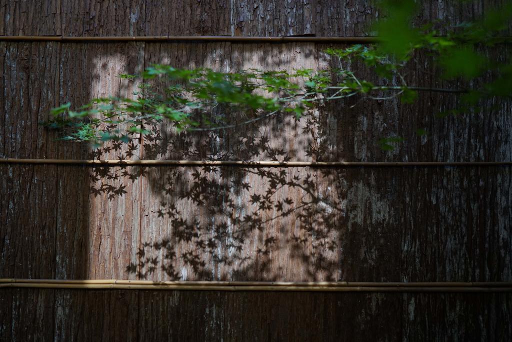 Ryokan Tori Kyoto Dış mekan fotoğraf